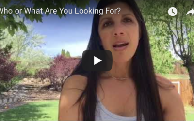 What or Who Are You Looking For?
