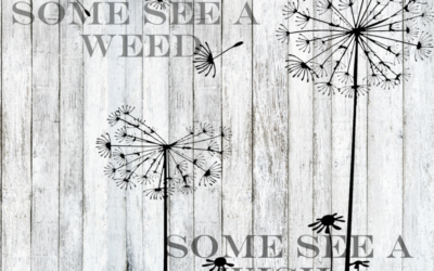 Weeds, Wishes and Words…